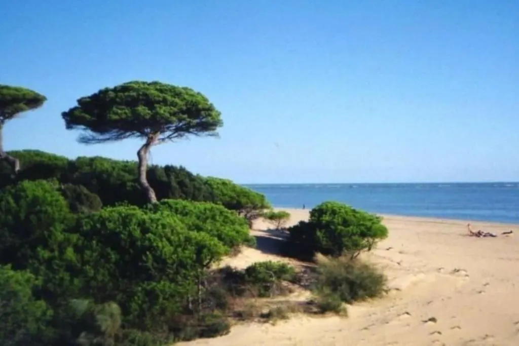 Espectacular Atico Duplex Con Vistas Al Mar Apartment El Portil